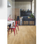 Кварц вінілова плитка для підлоги Quick-Step Blos base Canyon oak natural AVSPT40039