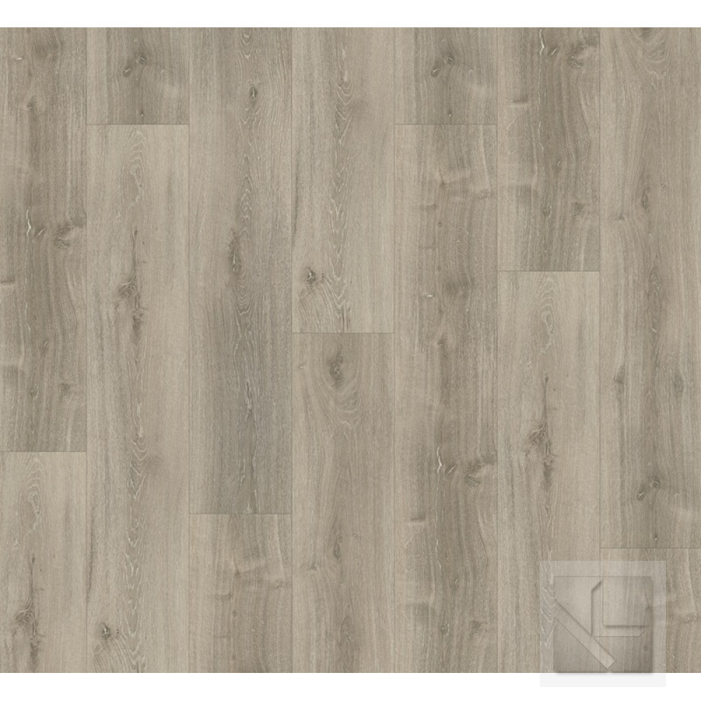 SPC вінілова плитка для підлоги Parador Basic 5.3 Oak grey whitewashed 1743001