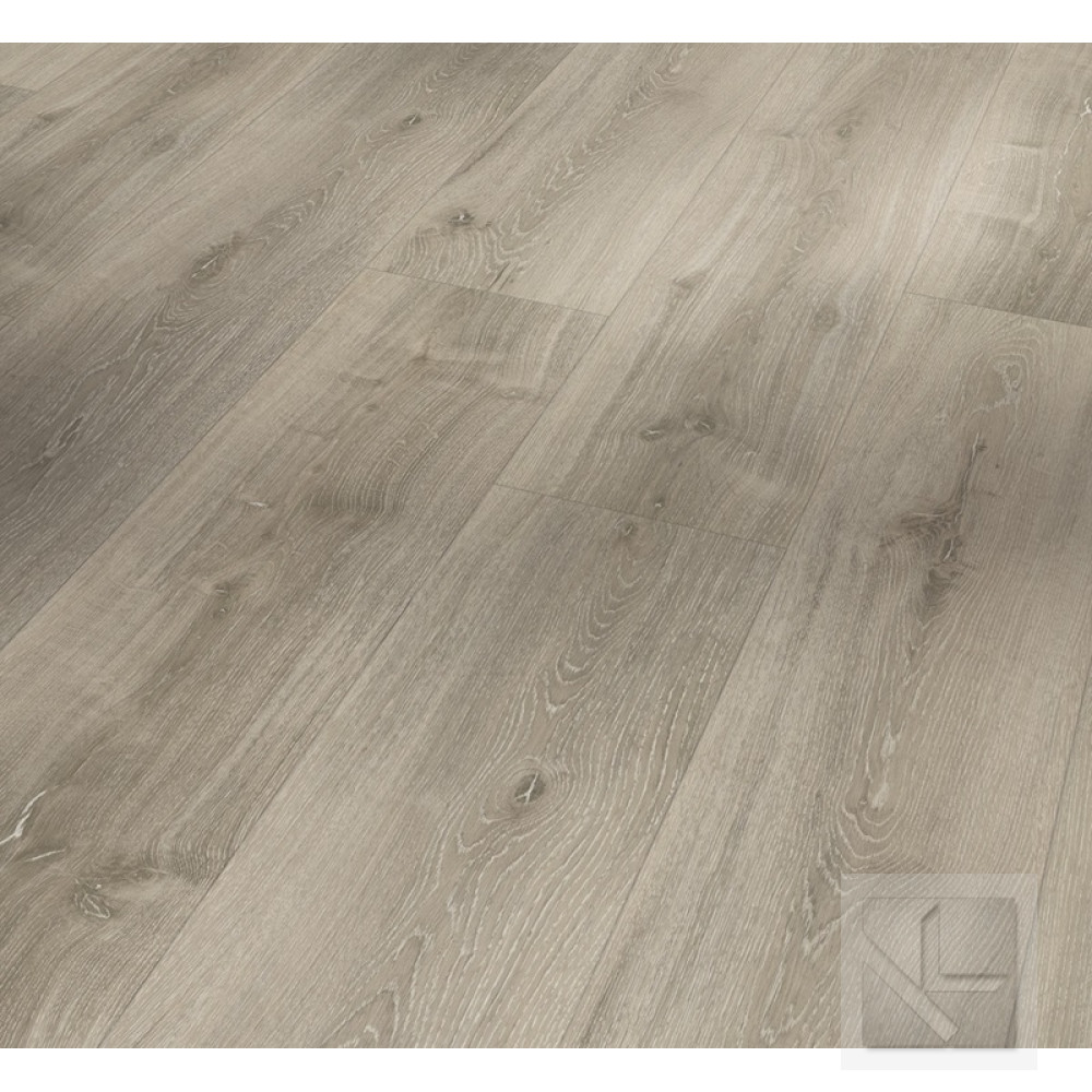 SPC вінілова плитка для підлоги Parador Basic 5.3 Oak grey whitewashed 1743001