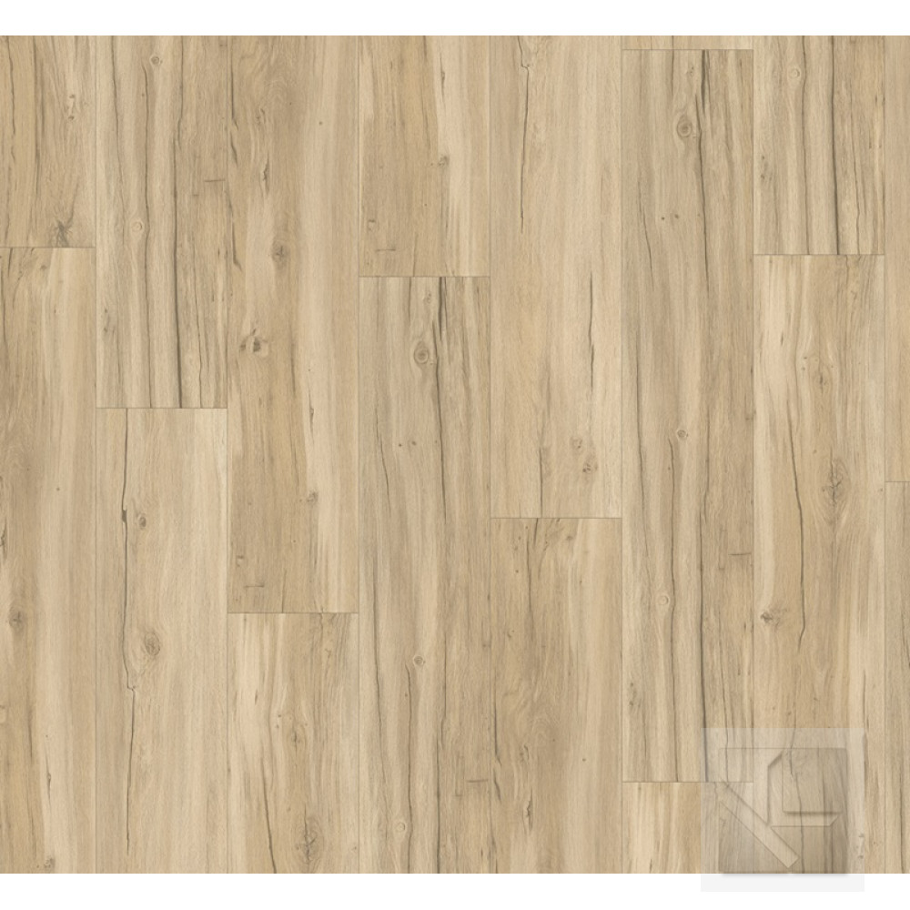 SPC вінілова плитка для підлоги Parador Basic 5.3 Oak Memory sanded 1743002