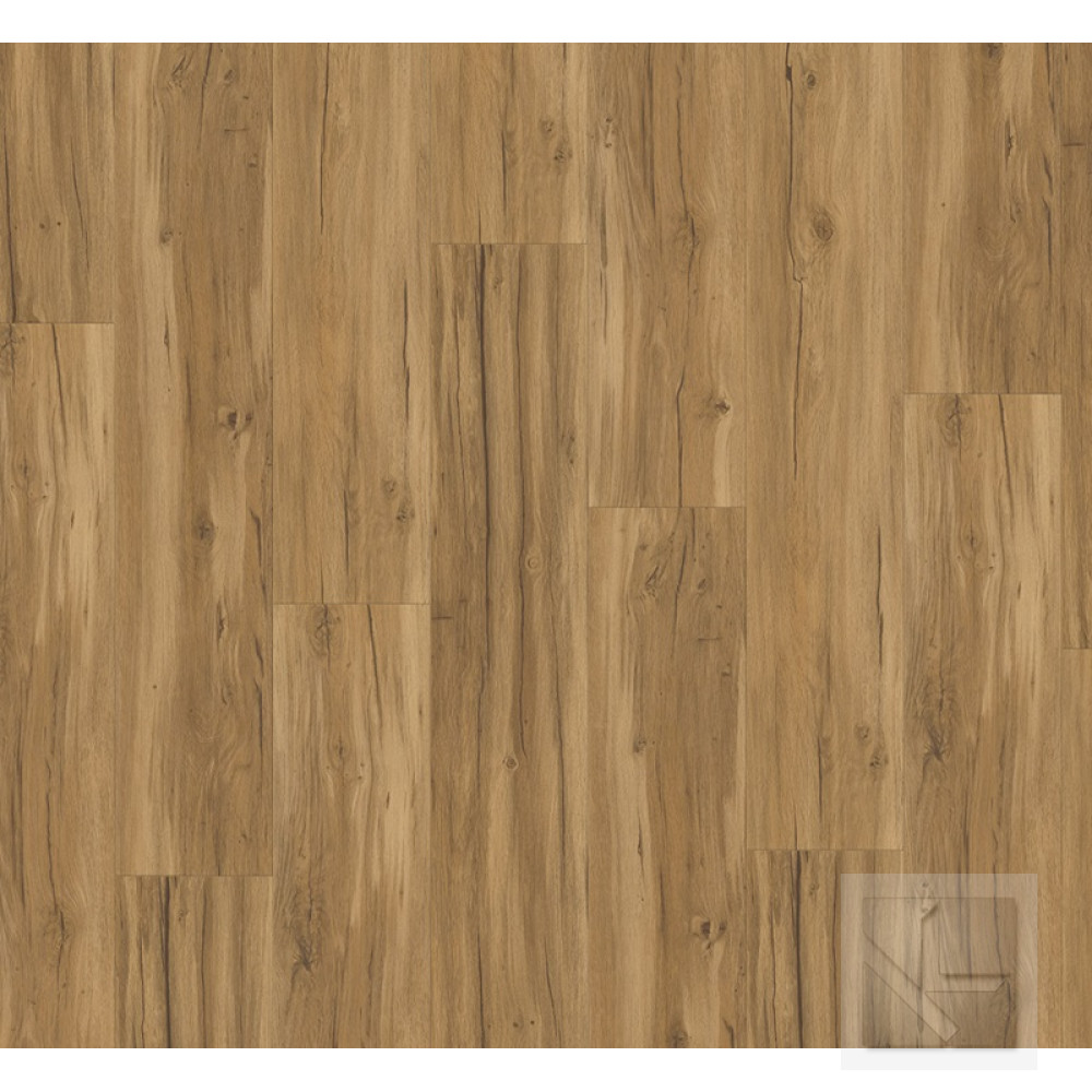 SPC вінілова плитка для підлоги Parador Basic 5.3 Oak Memory natural 1743003