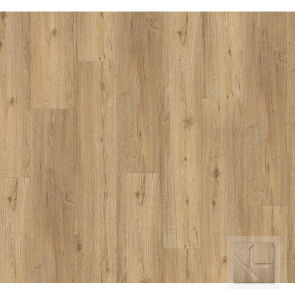 SPC вінілова плитка для підлоги Parador Basic 5.3 Oak natural 1743004