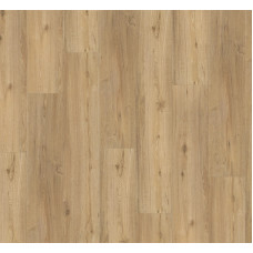 SPC вінілова плитка для підлоги Parador Basic 5.3 Oak natural 1743004