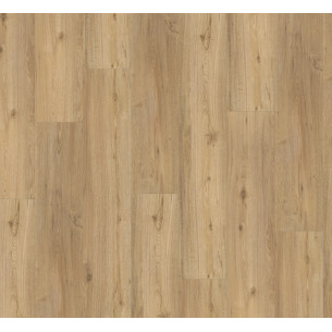 SPC вінілова плитка для підлоги Parador Basic 5.3 Oak natural 1743004