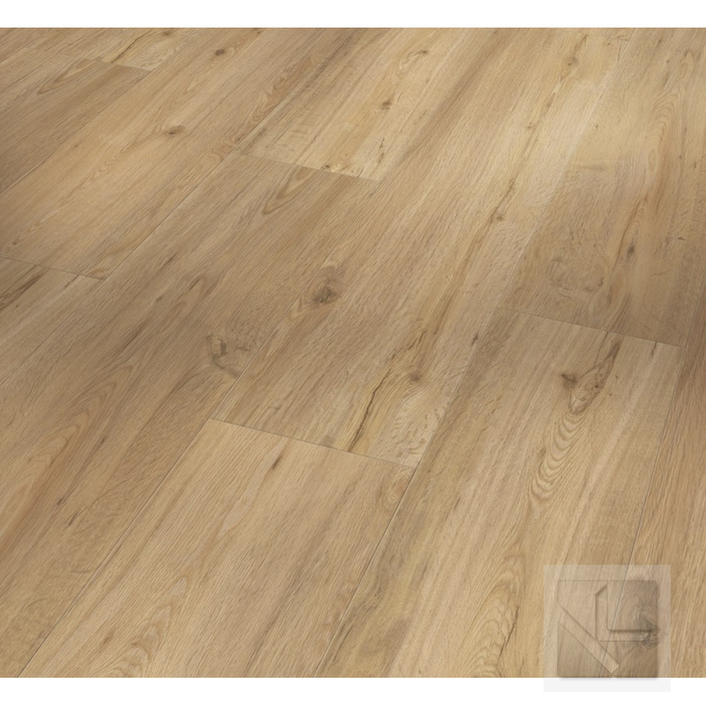 SPC вінілова плитка для підлоги Parador Basic 5.3 Oak natural 1743004