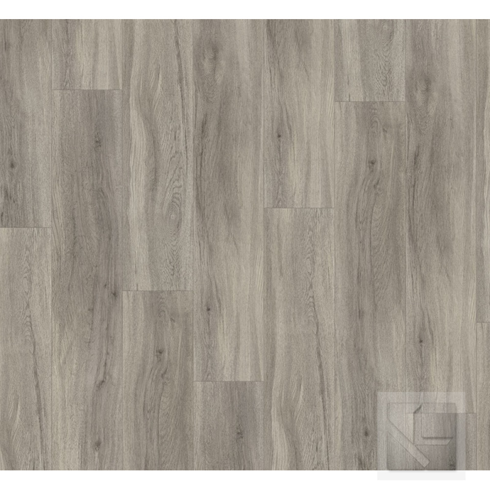 SPC вінілова плитка для підлоги Parador Basic 5.3 Oak pastel-grey 1743005