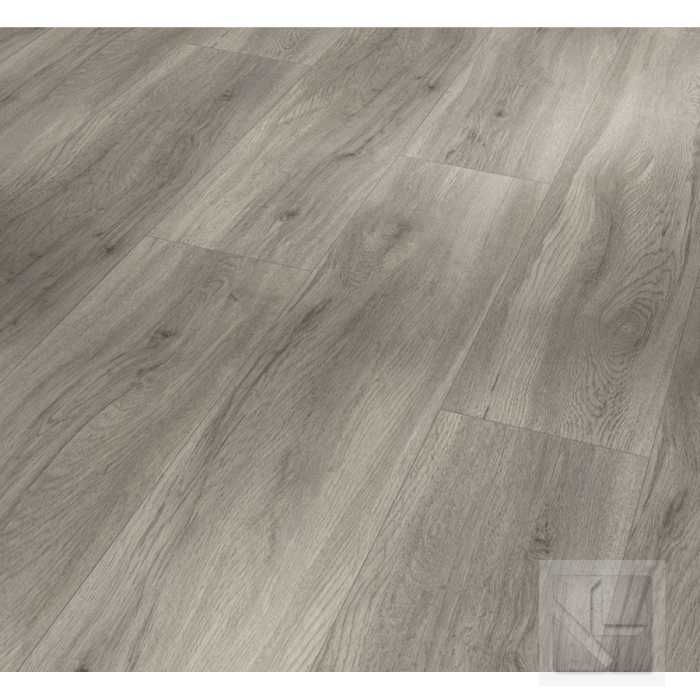 SPC вінілова плитка для підлоги Parador Basic 5.3 Oak pastel-grey 1743005