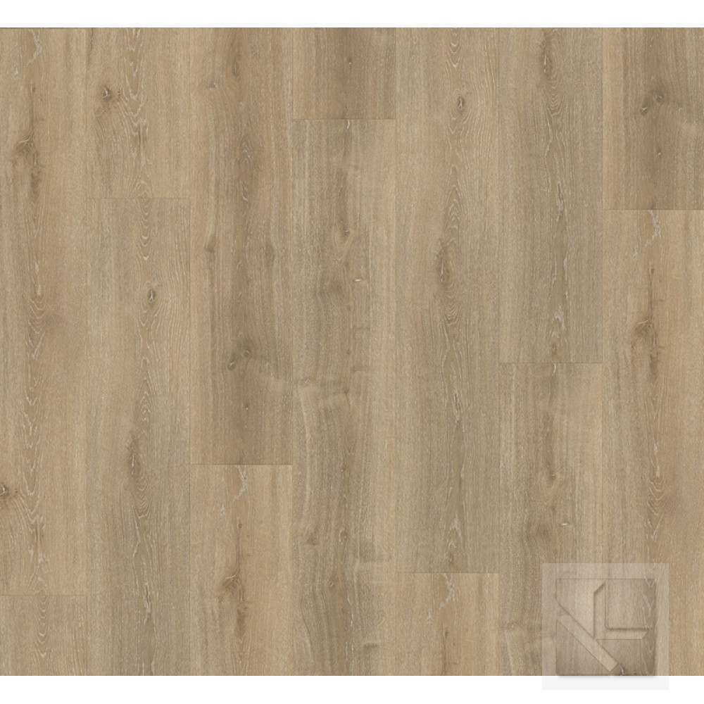 SPC вінілова плитка для підлоги Parador Basic 5.3 Oak Royal light-limed 1743006