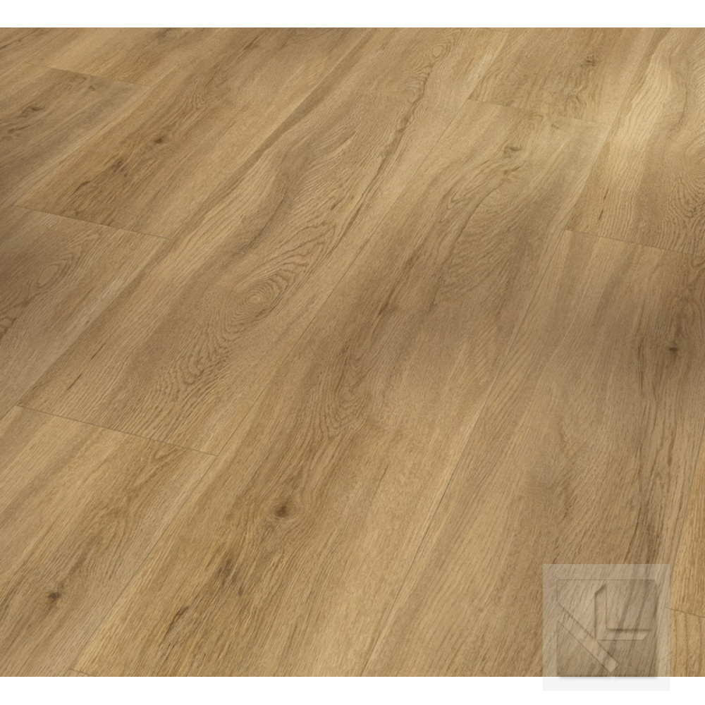 SPC вінілова плитка для підлоги Parador Basic 5.3 Oak Sierra natural 1743007