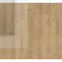 SPC вінілова плитка для підлоги Parador Basic 5.3 Oak Infinity natural 1744607