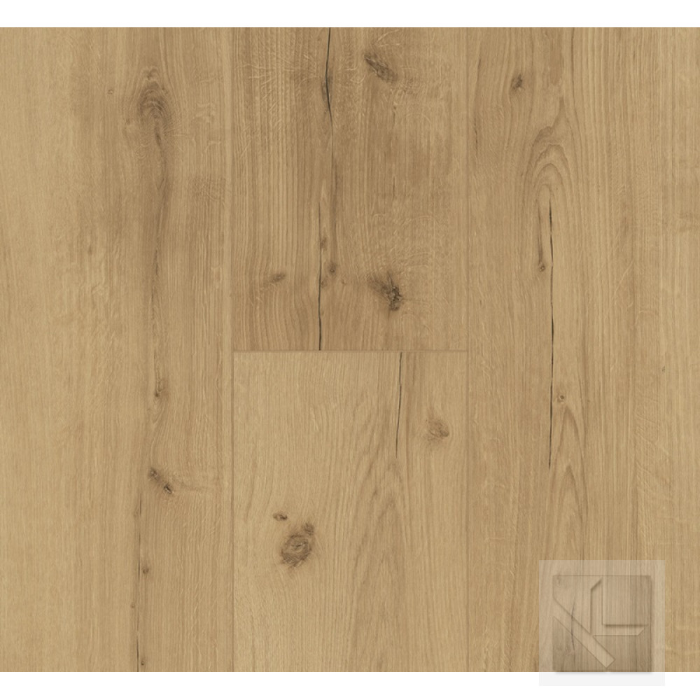 SPC вінілова плитка для підлоги Parador Basic 5.3 Oak Infinity natural 1744607