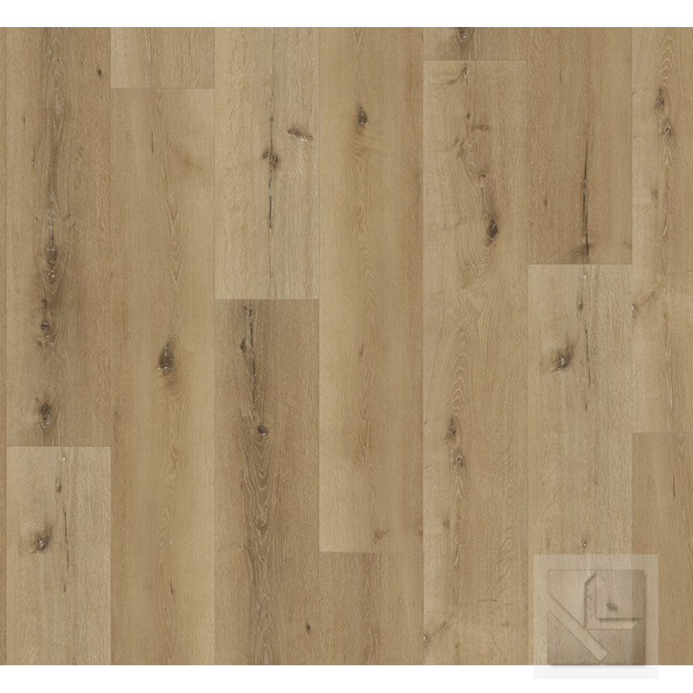 SPC вінілова плитка для підлоги Parador TrendTime 8 Oak Pacific natural 1744831