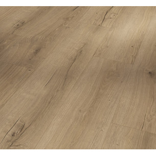 SPC вінілова плитка для підлоги Parador Basic 5.3 Oak Cambridge natural 1748825