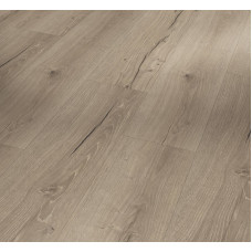 SPC вінілова плитка для підлоги Parador Classic 2070 Oak Cambridge taupe 1748844