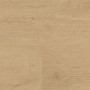 Кварц вінілова плитка для підлоги Wineo 400 DB Wood Plain Oak Beige DB281WL